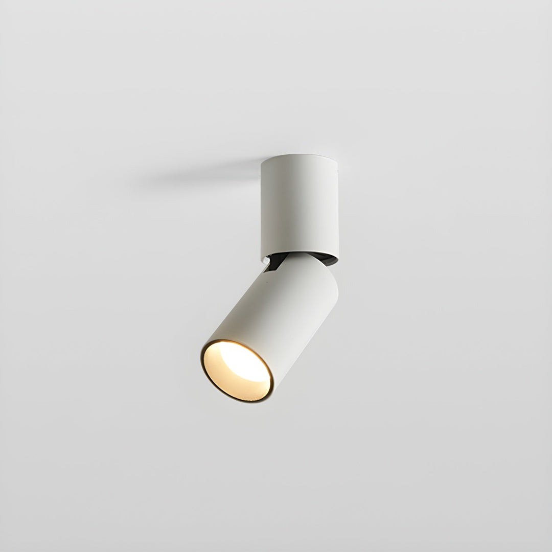 Elvynira Plafonnier à éclairage de surface réglable - Neutralighting