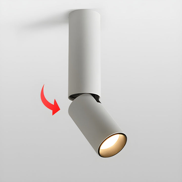 Elvynira Plafonnier à éclairage de surface réglable - Neutralighting