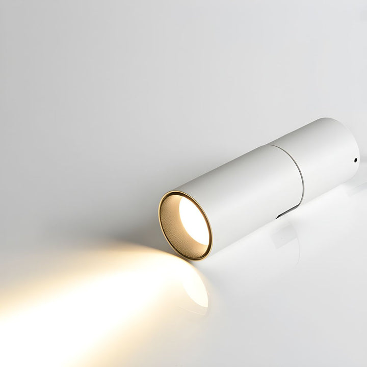 Elvynira Plafonnier à éclairage de surface réglable - Neutralighting