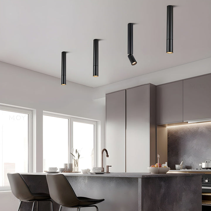 Elvynira Plafonnier à éclairage de surface réglable - Neutralighting