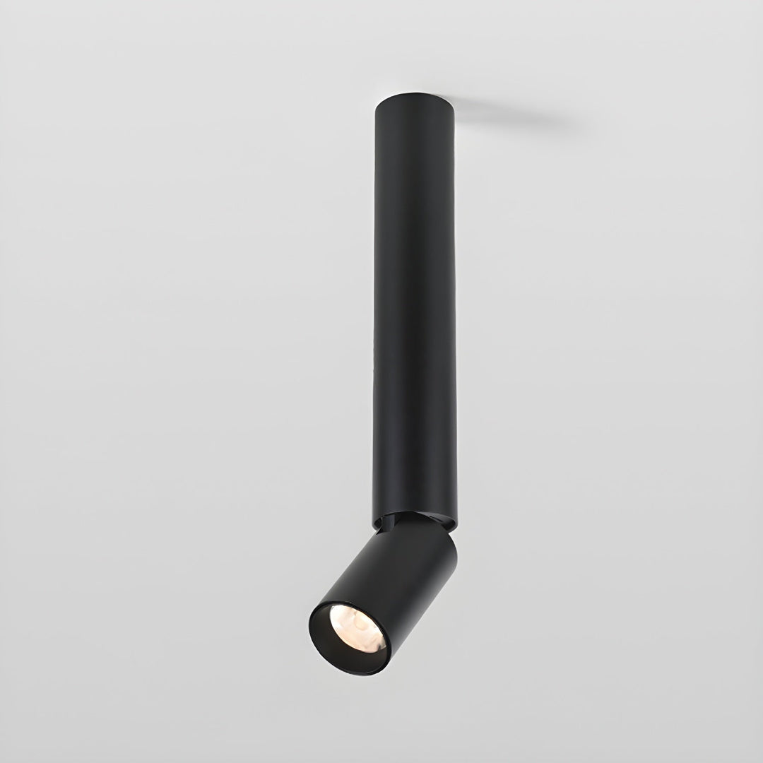 Elvynira Plafonnier à éclairage de surface réglable - Neutralighting
