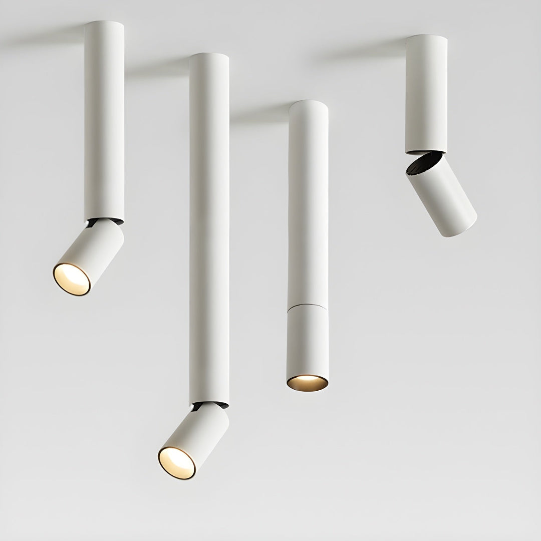 Elvynira Plafonnier à éclairage de surface réglable - Neutralighting