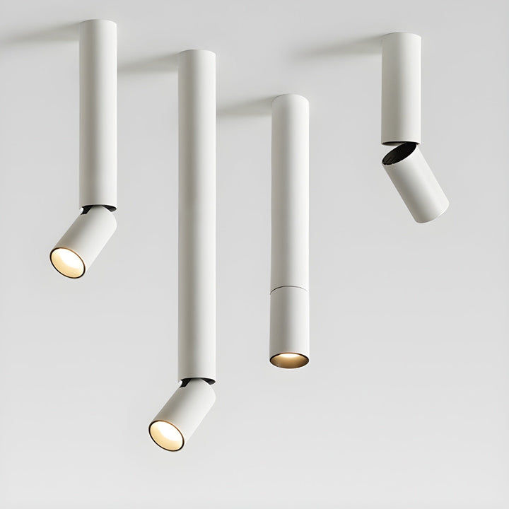 Elvynira Plafonnier à éclairage de surface réglable - Neutralighting