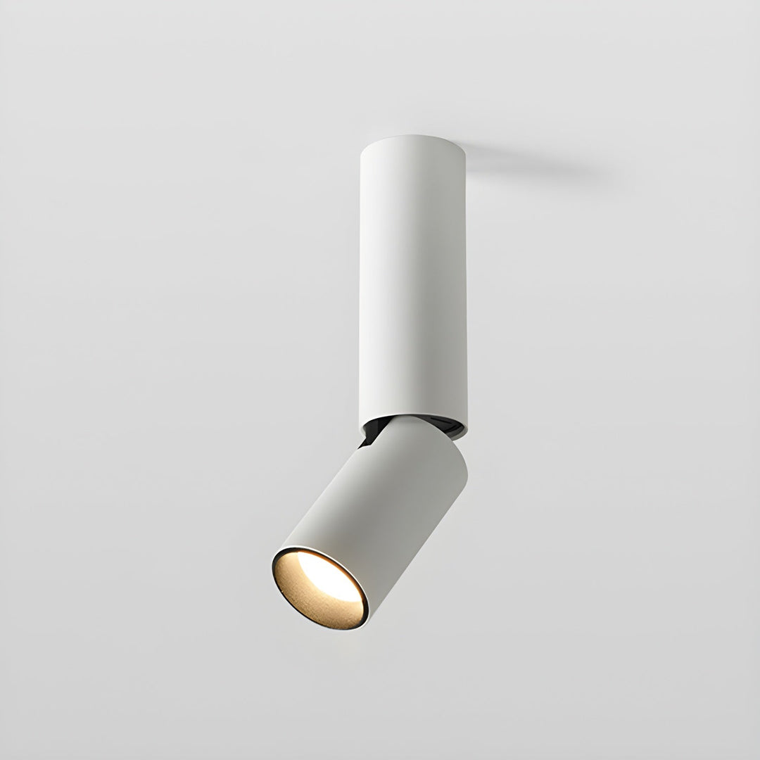 Elvynira Plafonnier à éclairage de surface réglable - Neutralighting