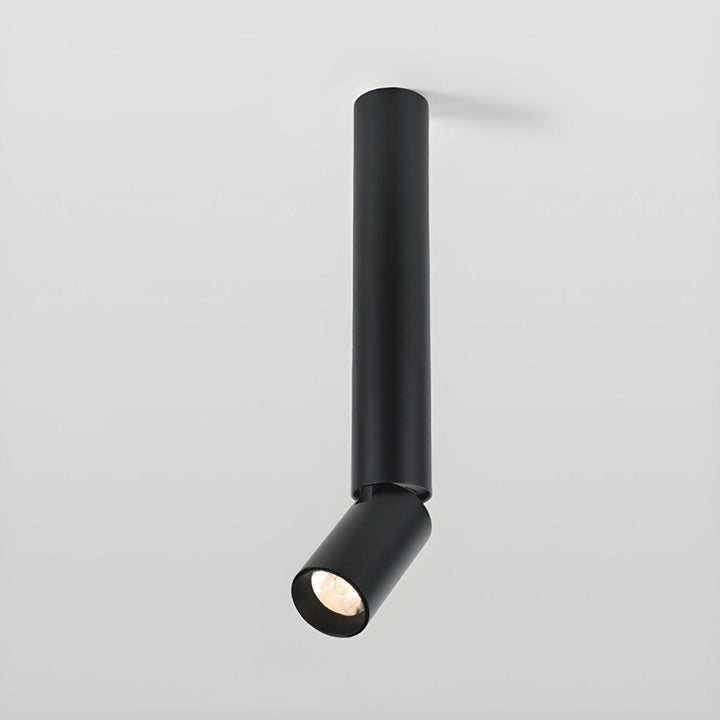 Elvynira Plafonnier à éclairage de surface réglable - Neutralighting