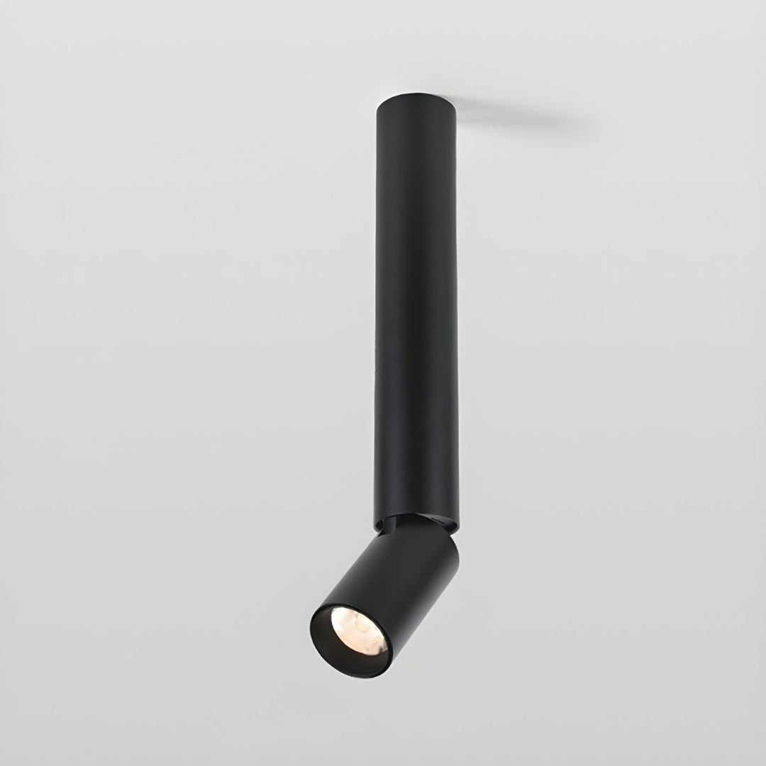 Elvynira Plafonnier à éclairage de surface réglable - Neutralighting
