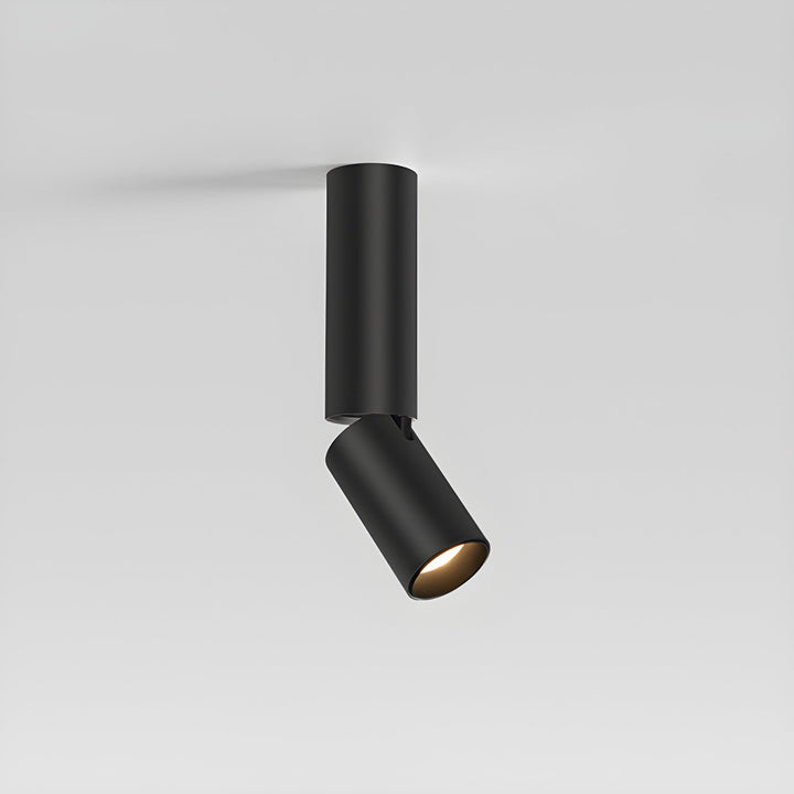 Elvynira Plafonnier à éclairage de surface réglable - Neutralighting