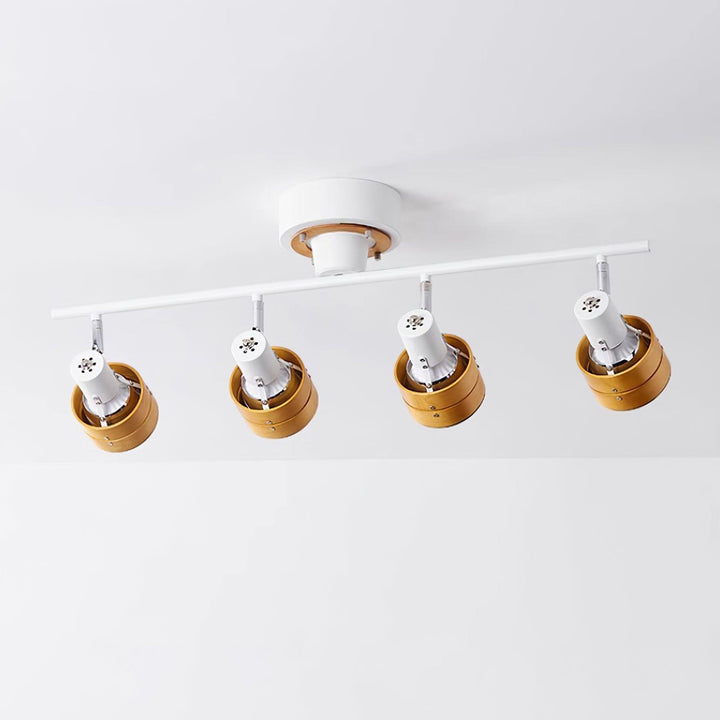 Daven Lustra Projecteur Rail 4-Lumières Ajustable - Neutralighting