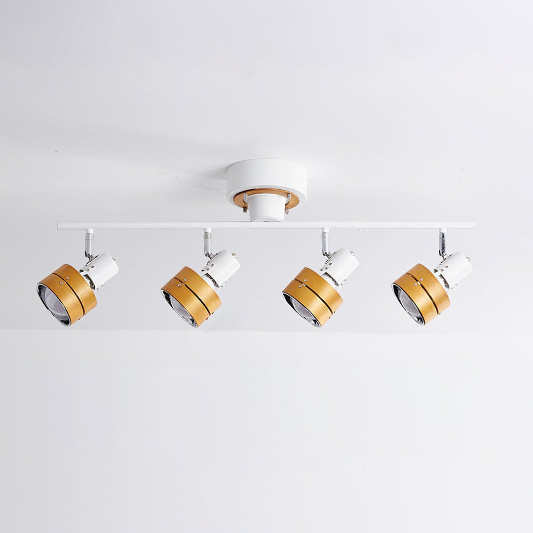 Daven Lustra Projecteur Rail 4-Lumières Ajustable - Neutralighting