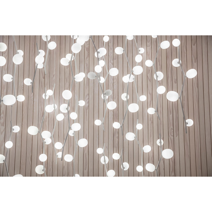 Isolora Suspension Verticale Verre Moderne - Neutralighting