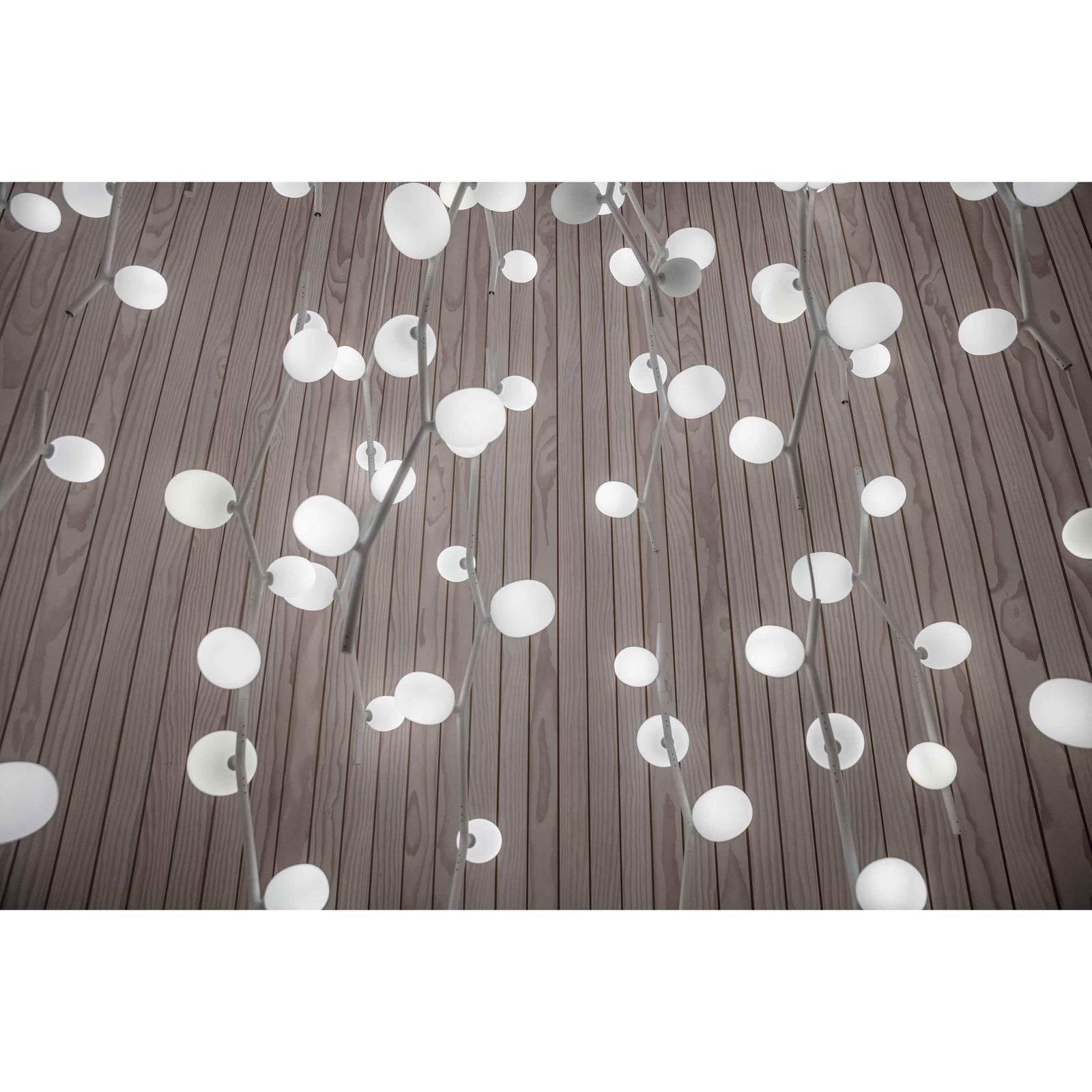 Lampe Isolora en Verre – Design Contemporain