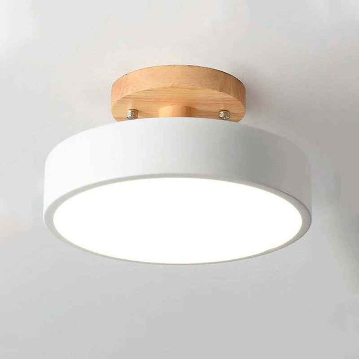 Plafonnier Orya Acrylique LED 12W