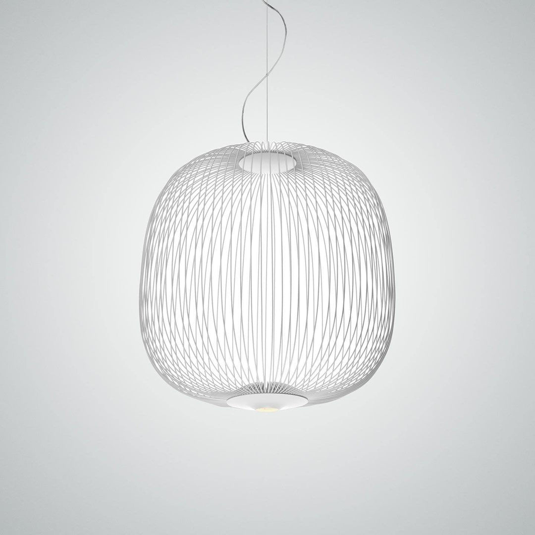 Vadorora Moderne Minimaliste Cage Métal Suspension - Neutralighting