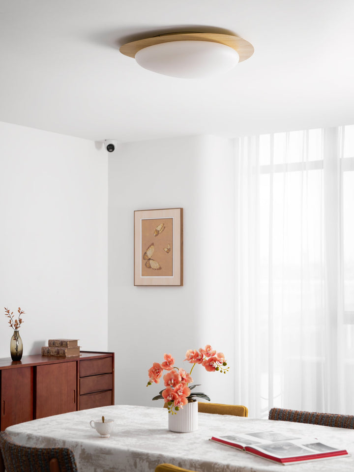 Solara Plafonnier Galet en Noyer Acrylique LED - Neutralighting