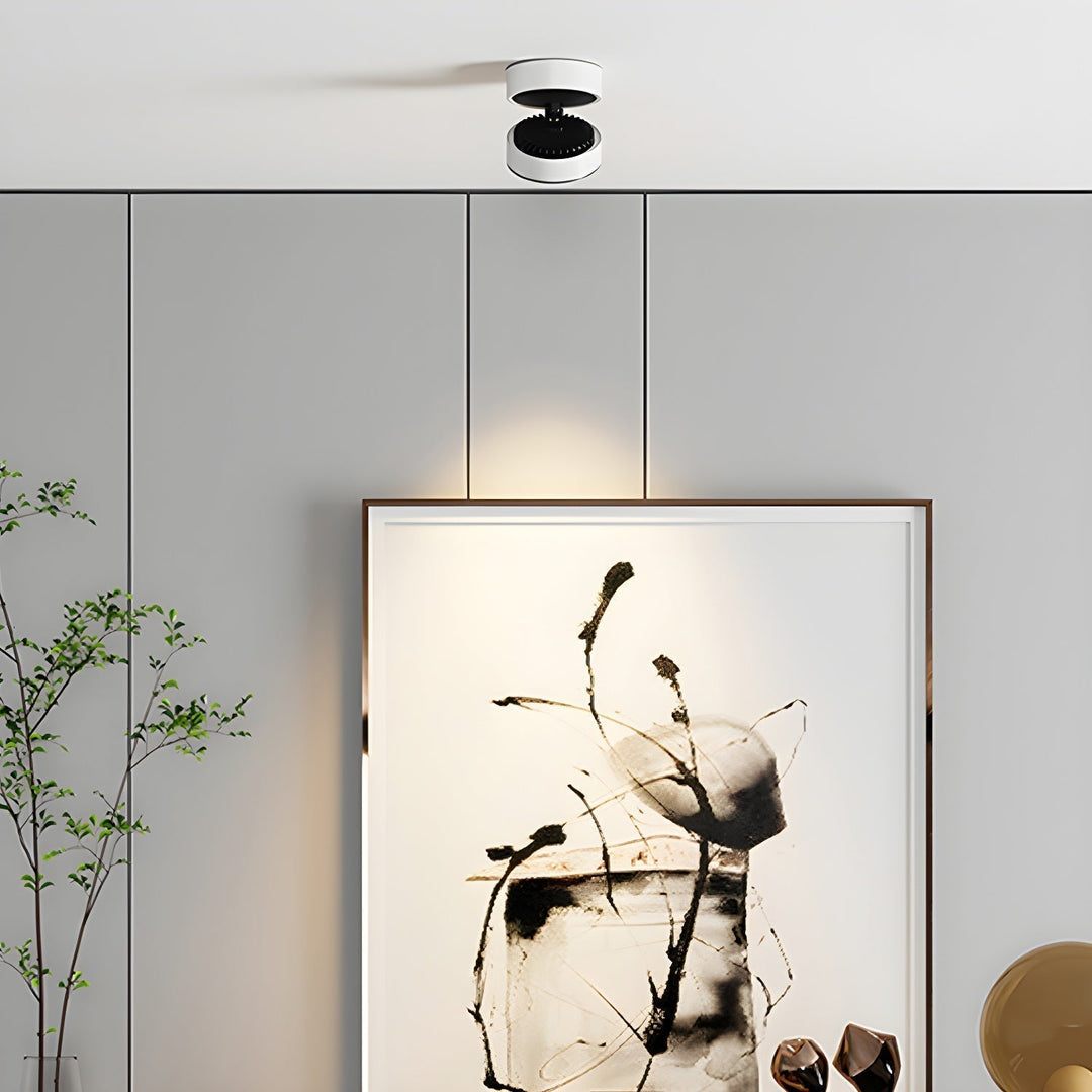 Colorara Plafonnier à LED Réglable Surface - Neutralighting