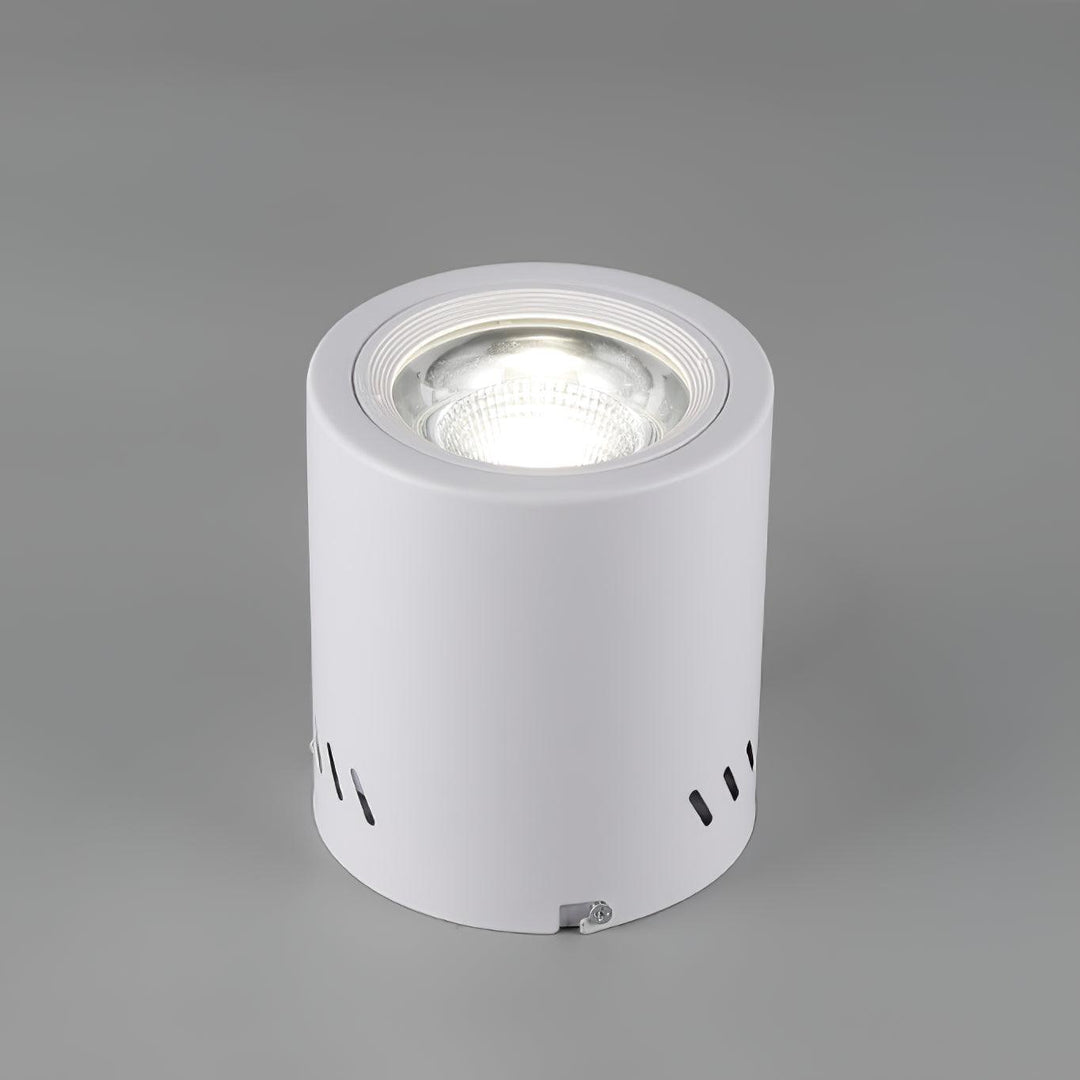 Lustra Projecteur Maxi Rebel à Montage Surface - Neutralighting
