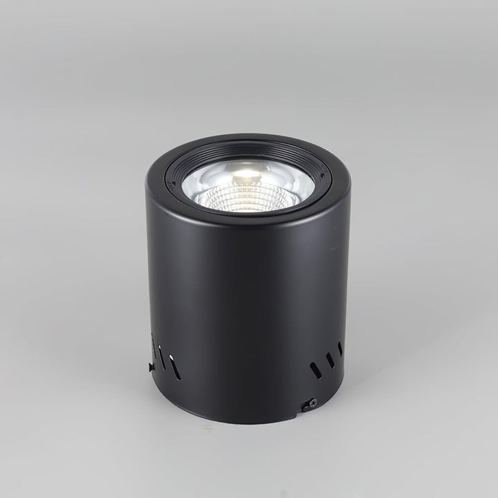 Lustra Projecteur Maxi Rebel à Montage Surface - Neutralighting