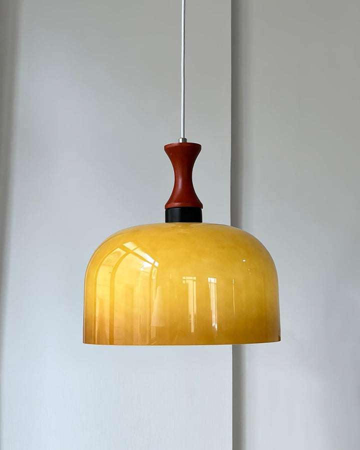 Lioraer Suspension Lampe Rétro en Verre - Neutralighting