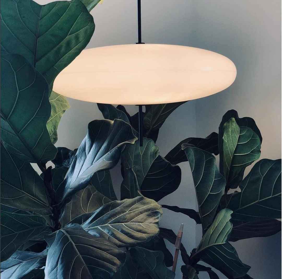 Lustra Suspension Noir Peint Réuni pour Salon - Neutralighting