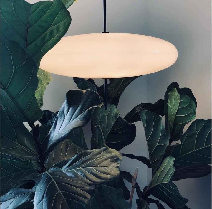 Lustra Suspension Noir Peint Réuni pour Salon - Neutralighting