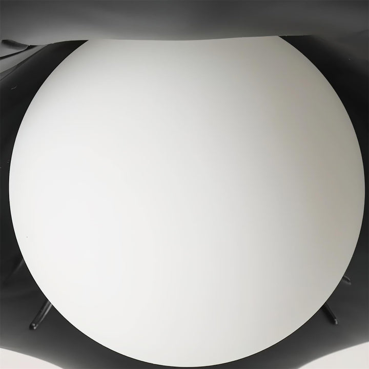 Monae Plafonnier Pétale Forme Globe Moderne - Neutralighting