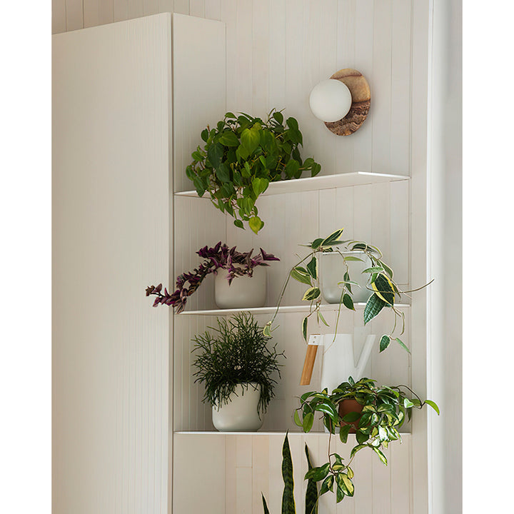 Ovyna Applique Murale Moderne Minimaliste en Verre et Onyx - Neutralighting