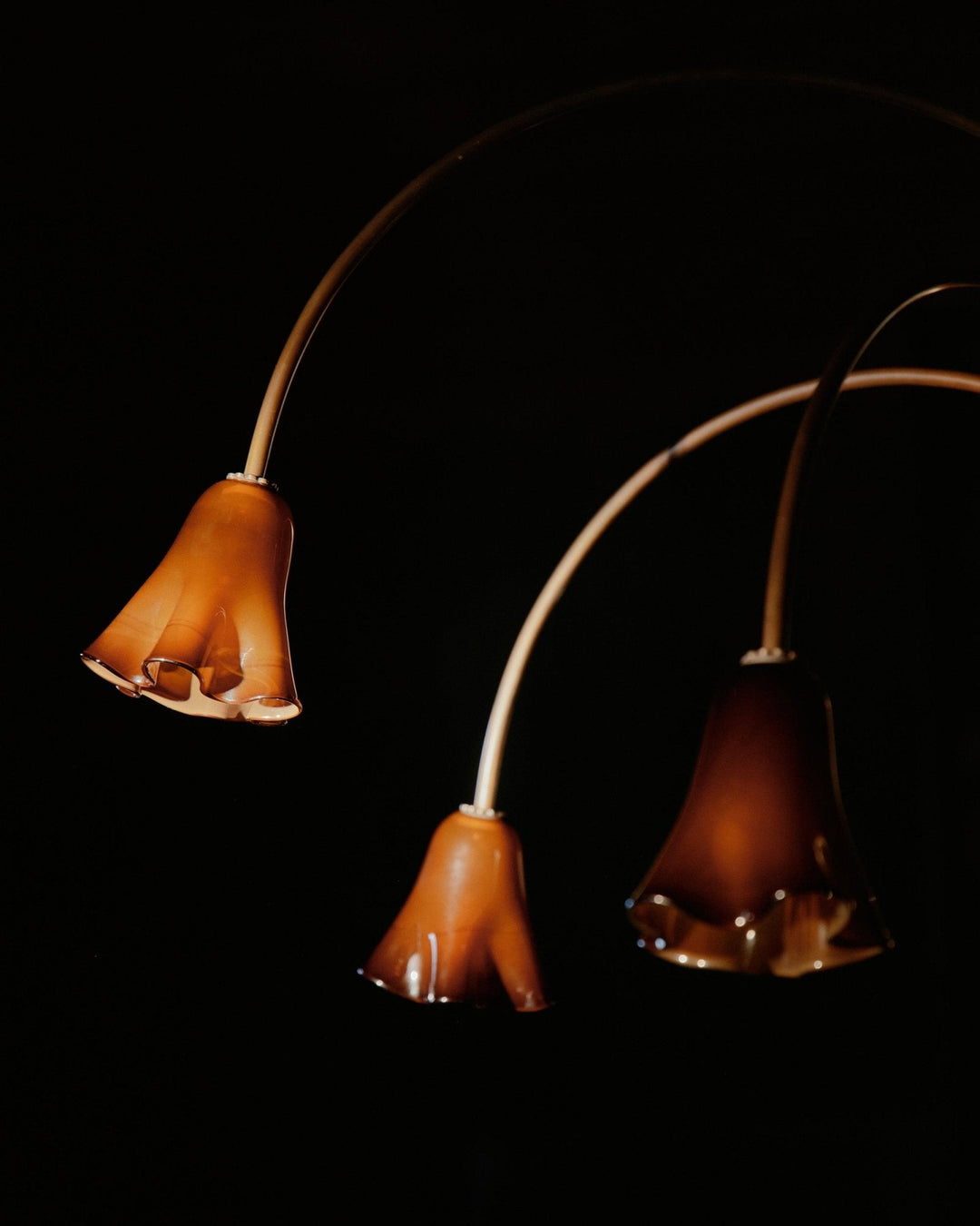 Aurora Lustre Floraison Pétale Verre Bras - Neutralighting