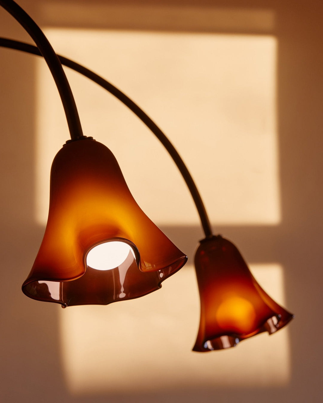 Aurora Lustre Floraison Pétale Verre Bras - Neutralighting