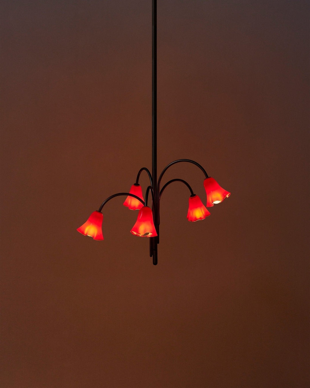 Aurora Lustre Floraison Pétale Verre Bras - Neutralighting