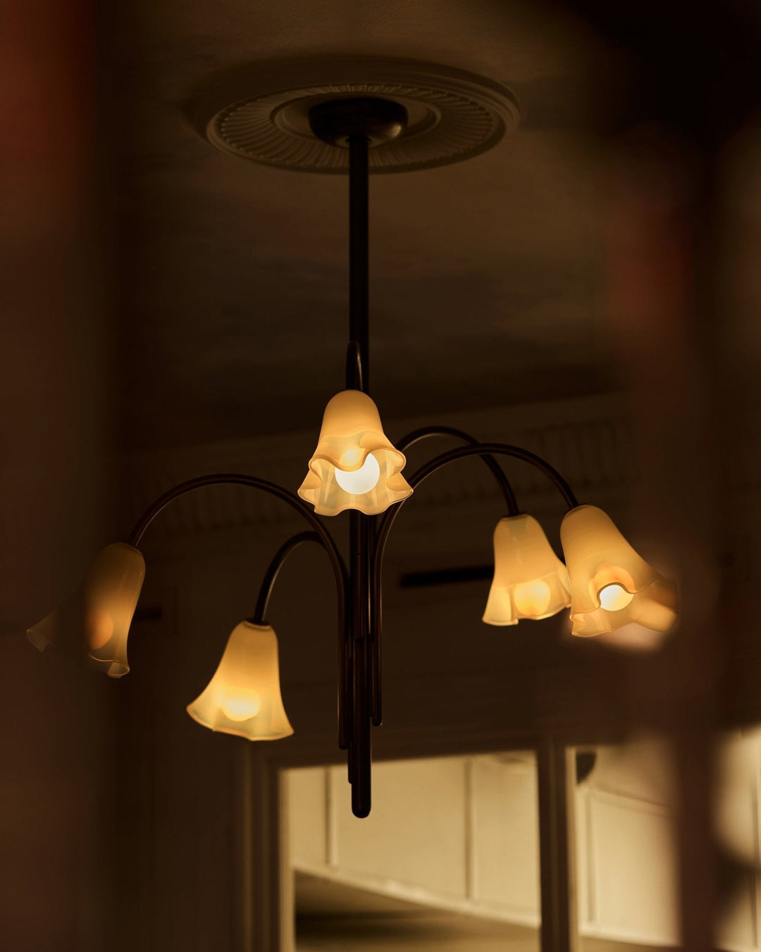 Aurora Lustre Floraison Pétale Verre Bras - Neutralighting