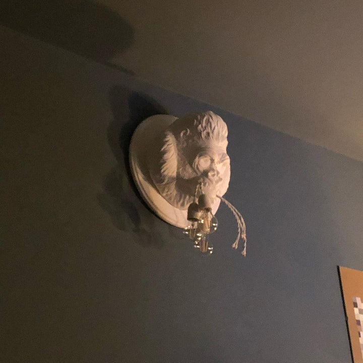 Veleda Applique Murale en Résine Premium Élégance - Neutralighting