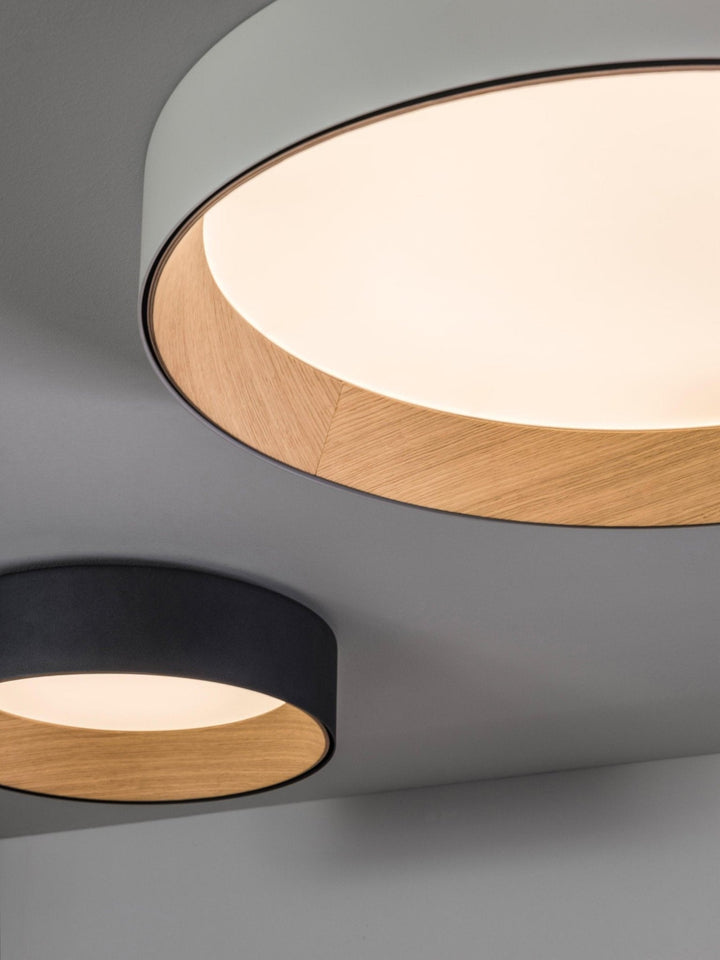 Elvenis Plafonnier Rond Moderne Minimaliste - Neutralighting
