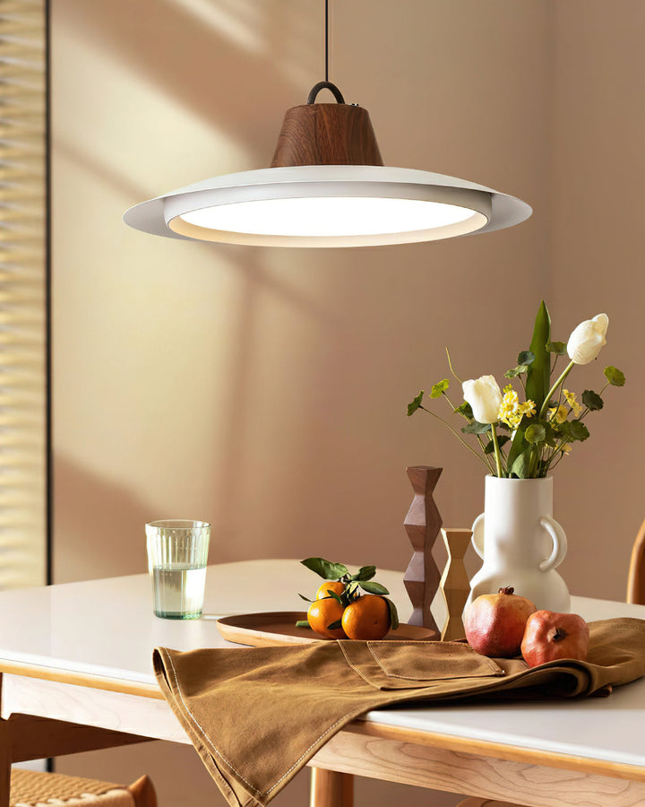 Sloane Suspension moderne - Neutralighting