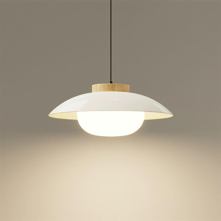 Aero Lampe Pendante Industrielle en Verre à Brancher - Neutralighting