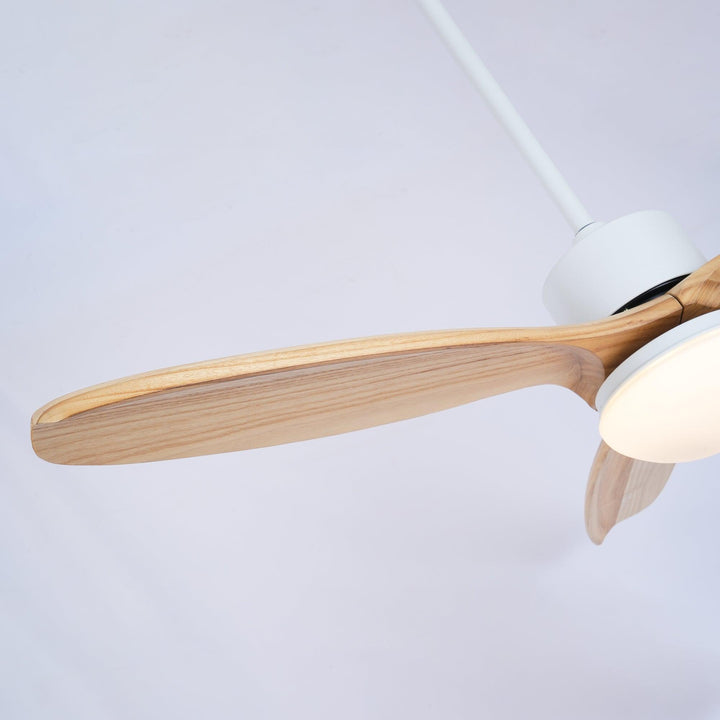 Utalis Plafonnier Ventilateur Naturel Élégant - Neutralighting