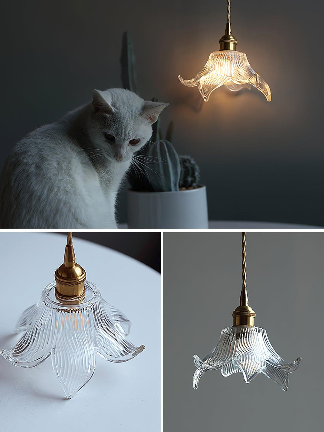 Thaliran Suspension Glam en Laiton et Verre - Neutralighting
